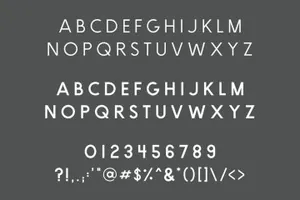 印刷排版的无衬线英文字体 Brooklyn Weight Font