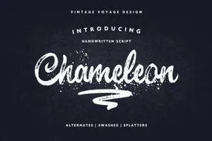 大气粗犷的笔刷字体 Chameleon  Impressive Brush Script