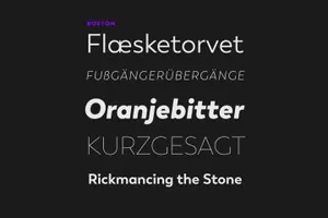 波士顿字体 Boston