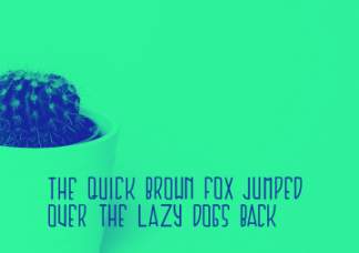 现代气息几何英文字体Cactus Display Free Typeface