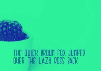 现代气息几何英文字体Cactus Display Free Typeface