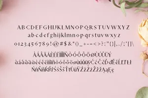 方格字体 Adouliss Mag Serif 9 Font Family