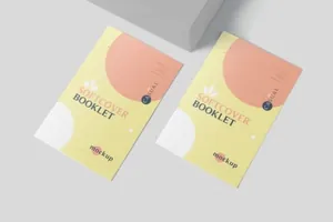 简约好用的高品质品牌手册画册宣传册VI设计样机展示