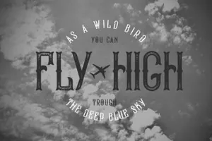 复古字体秃头鹰图形 Vintage font Bald Eagle Bonus