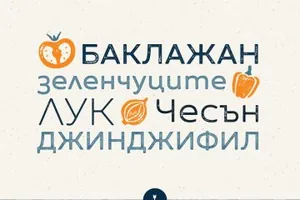 22个性设计字体 Zing Sans Rust