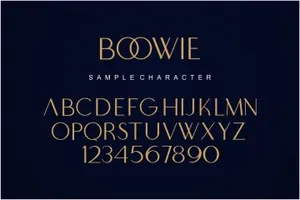极简主义现代优雅无衬线英文字体 Boowie | Modern minimalist elegant.