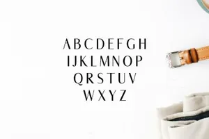 时尚的无衬线字体 Abiah Sans Serif 5 Font Family