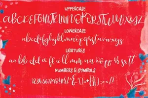 脚本字体 Boom amp;amp; Farrow Script Font