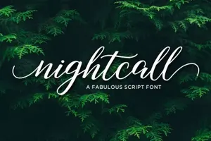 漂亮的现代书法英文字体 Nightcall Script