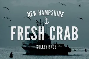 经典的logo字体 Vintage Logo Collection MegaBundle