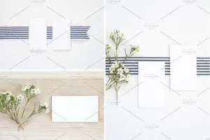 商业名片样机模型 Styled Stock Business Card Mockups