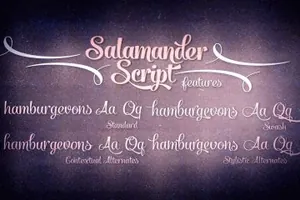 大气的手绘字体 Salamander Script