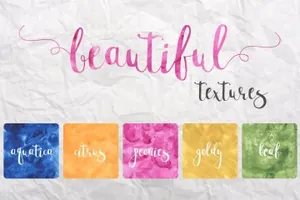 漂亮的手写字体 Bristol Script Font