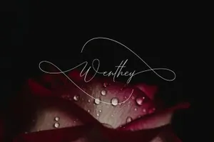 纤细的手绘字体 Chica Maravilla