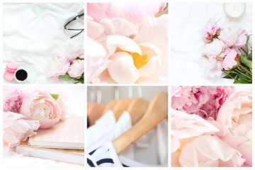 春天牡丹花卉素材 Spring Peonies Bundle