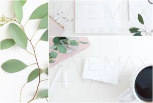 中性信封样机模板 Neutral Card Mockups Bundle