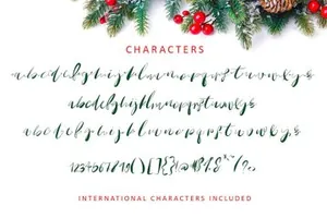 粗壮的手写字体 Oh Mistletoe Script Font