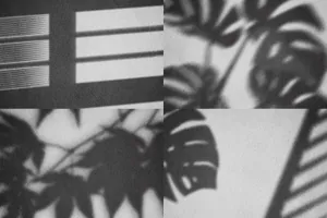 高级高品质高端夏季逼真植物阴影模型集质感素材