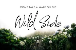 大气英文签字字体 Saturday Rock Font