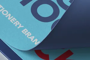 VI品牌提案名片设计咖啡杯包装设计样机模板 Psd Stationery Branding Mockup Set