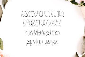 秀气的字体 Amidala Script Font