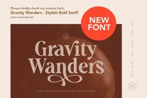 经典有机的衬线英文字体 Louise Walker - FONT DUO