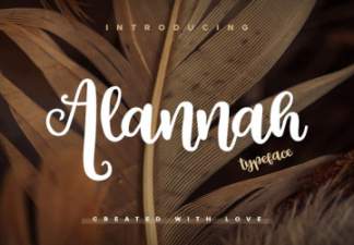 一款飘逸手写英文字体Alannah Script Font