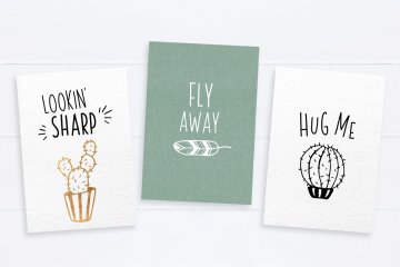 清新文艺的字体 Carley amp;amp; Co. Skinny Font family