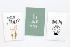 清新文艺的字体 Carley amp;amp; Co. Skinny Font family