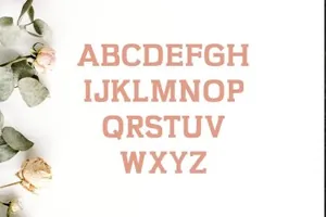 漂亮百搭字体 Kaayla Slab Serif 4 Font Pack