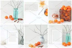 温暖冬季样机模板包 Tangerine Winter Bundle