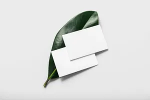 高品质花卉木质品牌VI提案样机贴图模版素材 Flora - Branding Mockup