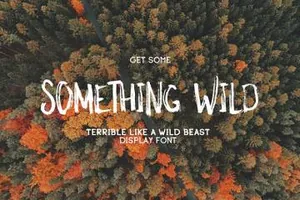 创意原始手绘英文字体Something Wild Free Font 精选字体