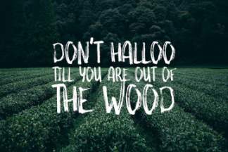 创意原始手绘英文字体Something Wild Free Font