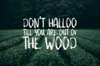 创意原始手绘英文字体Something Wild Free Font