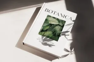 现代独特的徽标LOGO常用英文字体 Equinox Stylish Font duo  logo set