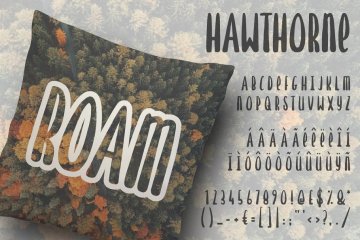 80手绘衬线字体下载 Hawthorne Hand Drawn