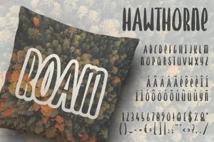 80手绘衬线字体下载 Hawthorne Hand Drawn