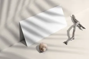 2020提案流行设计真实花卉阳光阴影品牌VI贴图样机模板 Odyssey - Branding Mockup