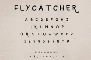 怀旧风格的字体 Flycatcher Font