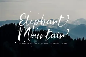 一款适合婚礼的手写签名英文字体 Nicolette Script Free Demo