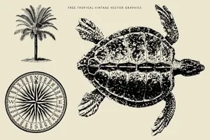 复古优雅的品牌杂志排版英文衬线字体 Oakland – Decorative Display Serif