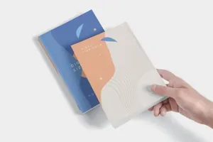 逼真质感书籍装帧房地产楼书画册杂志digest-size-book