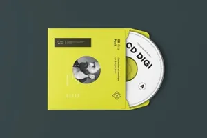 房地产CD光盘包装设计VI样机cd envelope mock up