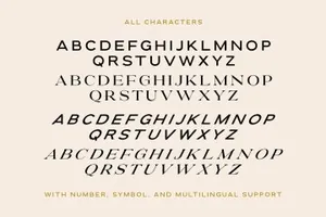 未来派优雅经典品牌推广时尚排版英文字体 Future History - 2 in 1 Font