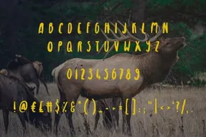 皇家麋鹿手写字体 Royal Elk Font