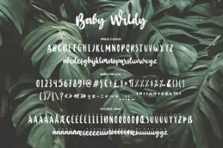 一款手绘大胆的书法英文字体 Baby Wildy Handbrush Font