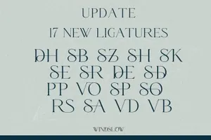 现代优雅女性极简主义珠宝海报杂志排版连字英文字体 Windslow Modern Ligature Font