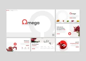 创业公司商业路演PPT幻灯片模板 Omega – Powerpoint Template