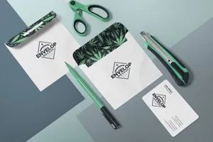 高品质的时尚高端的等距房地产信封isometric-envelope-mockups